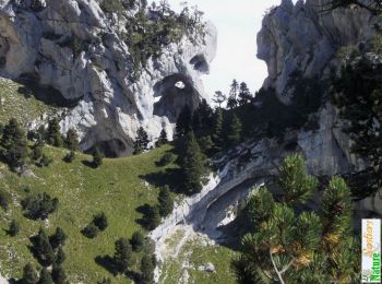 Randonnée Marche Plateau-des-Petites-Roches - Par le Grand Sangle de l'Aulp du Seuil - Photo