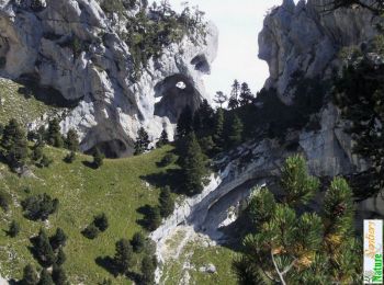 Percorso Marcia Plateau-des-Petites-Roches - Par le Grand Sangle de l'Aulp du Seuil - Photo