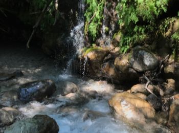 Randonnée Marche Abbadia Lariana - Abbada larniana - Lierna (Viandante 1) 12 km - Photo