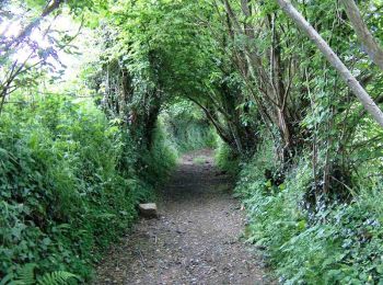 Tocht Stappen Plougonven - Espace VTT-FFC Morlaix Monts d'Arrée, circuit n°9 de Plougonven - Photo