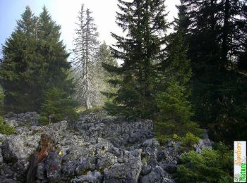 Trail Walking Entremont-le-Vieux - Traversée du Mont Outheran 1676m - Photo