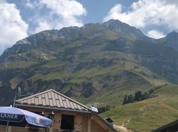 Randonnée Marche Talloires-Montmin - Col de Forclaz, départ parapente,chalet de l'aulp et retour  - Photo