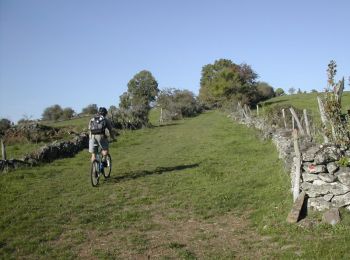 Tour Mountainbike Neuvéglise-sur-Truyère - Espace VTT FFC du Pays de St Flour - Circuit n° 12 - Entre curiosités et légendes - Photo