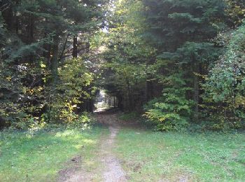 Tocht Mountainbike Besançon - Fort de la Dame Blanche - Photo