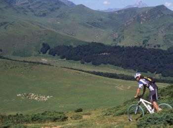 Trail Mountain bike Campan - Espace VTT FFC Haute Bigorre - Circuit n° 19 - Le Courtau des Ezclozes - Photo