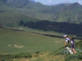 Randonnée V.T.T. Campan - Espace VTT FFC Haute Bigorre - Circuit n° 19 - Le Courtau des Ezclozes - Photo