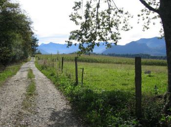 Trail Mountain bike Bizanos - De Pau à Lourdes en VTT par les chemins - Photo