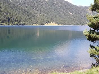 Tocht Stappen Aragnouet - Boucles des lacs de bastan et réserve du Néouvielle   - Photo