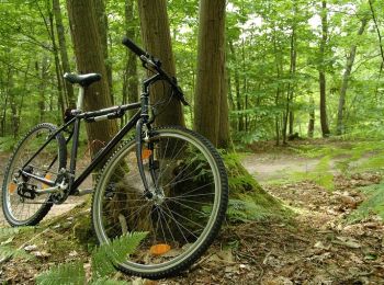 Randonnée V.T.T. Bubry - Espace VTT FFC La vallée du Blavet - Le circuit de Brandifrout - Photo