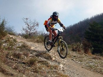 Trail Mountain bike Breil-sur-Roya - Espace VTT FFC de Sospel - N° 6 : Descente de la frontière - Photo
