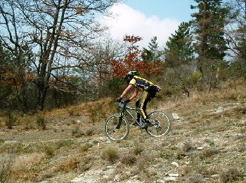 Trail Mountain bike Breil-sur-Roya - Espace VTT FFC de Sospel - N° 7 : Vallon de Basséra - Photo