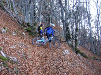 Excursión Bici de montaña Brantes - Ventoux face nord - Photo