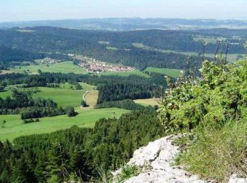 Tocht Mountainbike Les Gras - Espace VTT FFC Val de Morteau - Circuit n° 13 - Les Gras - Photo