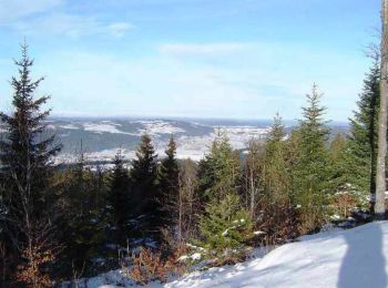 Percorso Mountainbike Les Combes - Espace VTT FFC Val de Morteau - Circuit n° 86 - La Motte variante - Photo