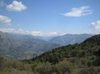 Excursión Bici de montaña Peille - Espace VTT FFC Sospel - N° 11 : Piste de la Cerveta - Photo