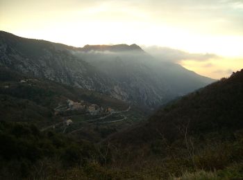 Excursión Bici de montaña Peille - Espace VTT FFC Sospel - N° 13 : Tour du Mont Agel  - Photo