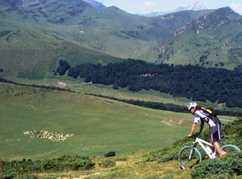 Trail Mountain bike Campan - Espace VTT FFC Haute Bigorre - Circuit n° 22 - Artigue - Sarrat de Gaye - Photo