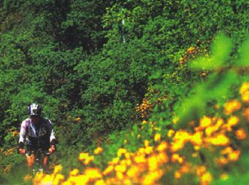 Tour Mountainbike Nyons - Espace VTT FFC La Drôme Provençale - Circuit n° 8 - Découverte des Baronnies - Photo