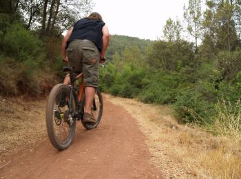 Tocht Mountainbike Saint-Jeures - Espace VTT FFC Le Velay des 3 Rivières - N°18 La Pierre Plantée - St-Jeures - Photo