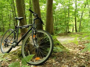 Trail Mountain bike Saint-Ferréol-d'Auroure - Espace VTT FFC Le Velay des 3 Rivières - N°22 Le Bois de Gampille St-Férréol-d'Auroure - Photo