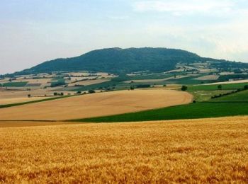 Randonnée Marche Saint-Sandoux - Le Puy de Saint Sandoux  - Photo