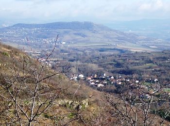 Tour Wandern Saint-Saturnin - La montagne de la Serre - Photo