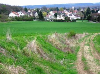 Tour Wandern Étréchy - Autour d'Etréchy - Photo