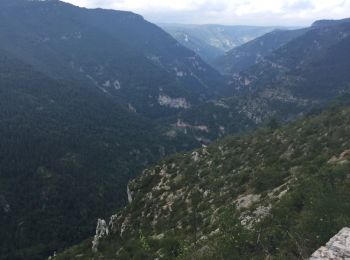 Trail Walking Gorges du Tarn Causses - Laval du Tarn (boucle)  - Photo