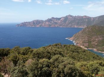 Tocht Stappen Osani - Rando GPS autour de Girolata - Photo