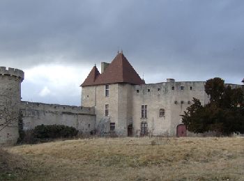 Randonnée Marche Aigueperse - Le château de la Roche - Photo