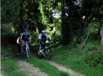 Trail Mountain bike Gouffern en Auge - Espace VTT FFC du Pays d'Auge Ornais- Circuit n°3 - Chambois - Fel - Photo