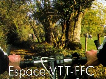 Randonnée V.T.T. Vimoutiers - Espace VTT FFC du Pays d'Auge Ornais- Circuit n°15 - Plateau du Sap - Photo