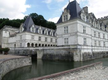Randonnée V.T.T. Nazelles-Négron - Autour de la Loire par le Château de Valmer - Photo