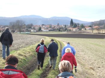 Trail Walking Mozac - Entre Mozac et Marsat - Photo