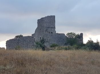 Randonnée Marche Aumelas - château d'Aumelas  - Photo