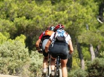 Trail Mountain bike Bolquère - Espace VTT FFC Pyrénées Catalanes - Circuit n° 8 - Les Artigues - Photo