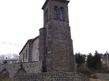 Randonnée Marche Chanat-la-Mouteyre - La croix de Ternant - Photo