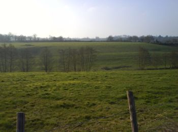 Tocht Mountainbike Montaigu-Vendée - La Cheffretière - Photo