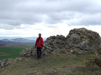 Randonnée Marche Cournon-d'Auvergne - Le Puy de Bane - Photo