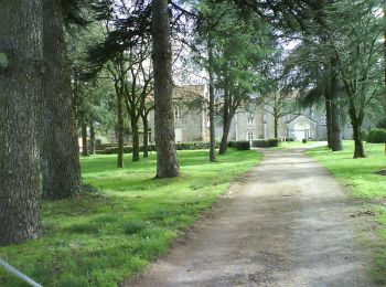 Tour Mountainbike Montaigu-Vendée - Le Bois Noir - Balade vers Montaigu - Photo