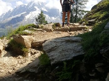 Tour Schneeschuhwandern Chamonix-Mont-Blanc - test Col des grand montet Lac Blanc via Aiguille d'Argentiere  - Photo