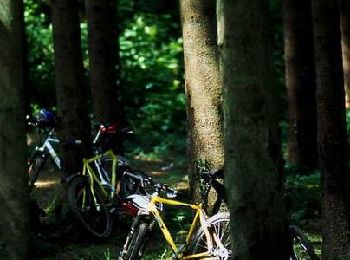 Trail Mountain bike Givonne - Espace VTT FFC Pays Sedanais Le Banet - Circuit n° 01 - Photo