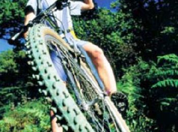 Trail Mountain bike Givonne - Espace VTT FFC Pays Sedanais Le Banet - Circuit n° 04 - Photo