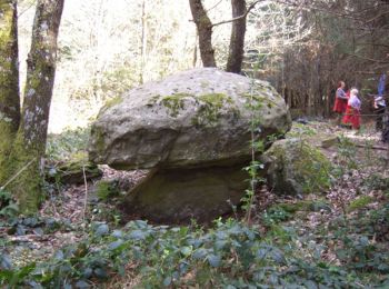 Tocht Stappen Combronde - La pierre branlante - Combronde - Photo