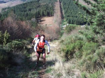 Excursión Senderismo La Salvetat-sur-Agout - Trail de la Salvetat 2008 - Photo