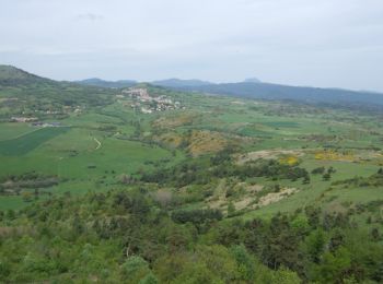 Trail Walking Montaigut-le-Blanc - Puys de la Rodde et de Gourdon - Photo