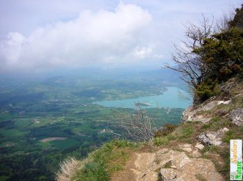 Percorso Marcia Attignat-Oncin - Le Mont Grelle 1425m, depuis Attignat - Oncin - Photo