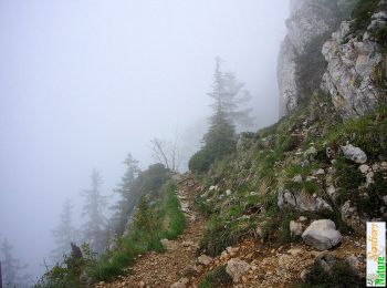 Randonnée Marche Saint-Christophe-sur-Guiers - Petit Som 1772m, descente par le Pas du Loup - Photo