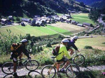 Trail Mountain bike Vallouise-Pelvoux - Espace VTT FFC Pays des Ecrins - Circuit n°03 - Les Choulières - Photo