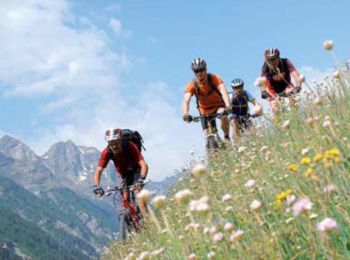 Excursión Bici de montaña Puy-Saint-Vincent - Espace VTT FFC Pays des Ecrins - Circuit n°15 - Les Grandes Têtes - Photo